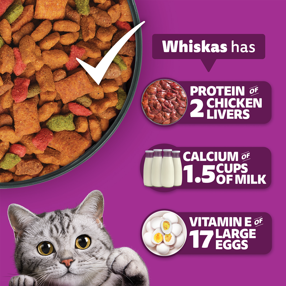 Whiskas Chicken Flavour Cat (Adult 1+) Dry Food Cats- Dry food Whiskas