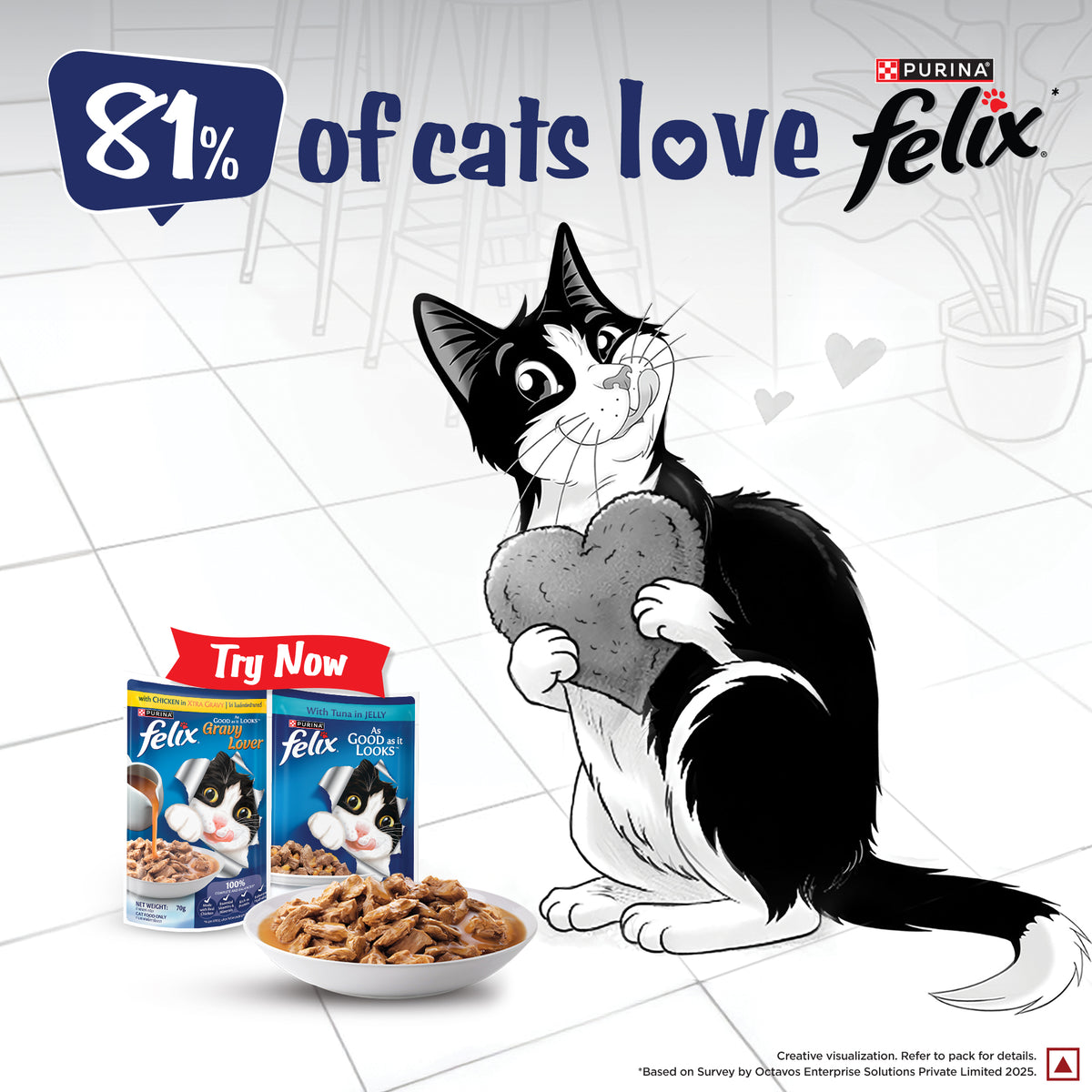 Purina Felix Gravy Lover Chicken Chunks Adult Complete and Balanced Cat Wet Food Cats-Wet Food Felix