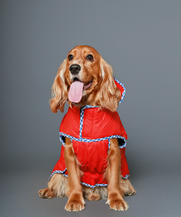 Pet Set Go Wind Sheeter Jackets for Dogs (Red)
