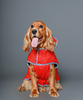 Pet Set Go Wind Sheeter Jackets for Dogs (Red) Dogs-Clothing & Accessories Pet Set Go Dropship