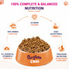 Purrfeto.com Ocean Fish Adult Cat Dry Food Cats- Dry food Purrfeto