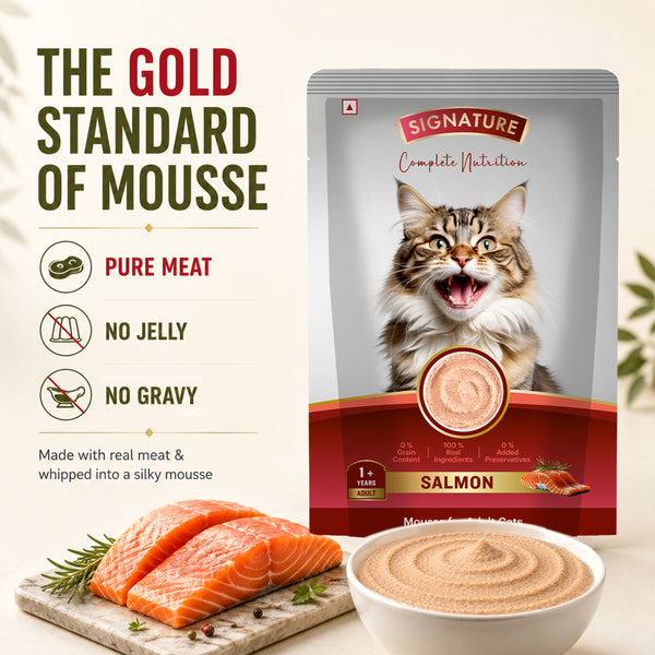 Signature Grain Zero Salmon Mousse Adult Cat Wet Food