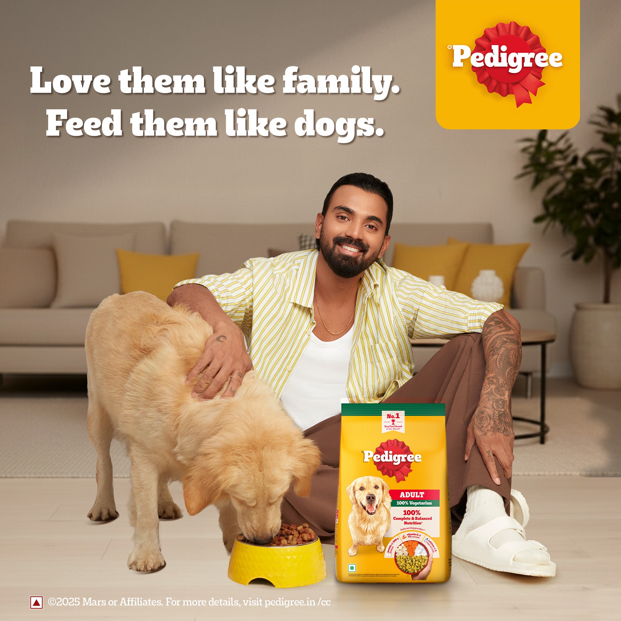 Pedigree 100% Vegetarian Adult Veg Dog Dry Food Dogs- Dry Food Pedigree