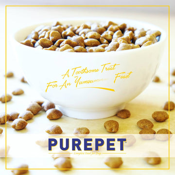 Purepet Seafood Adult Cat Dry Food