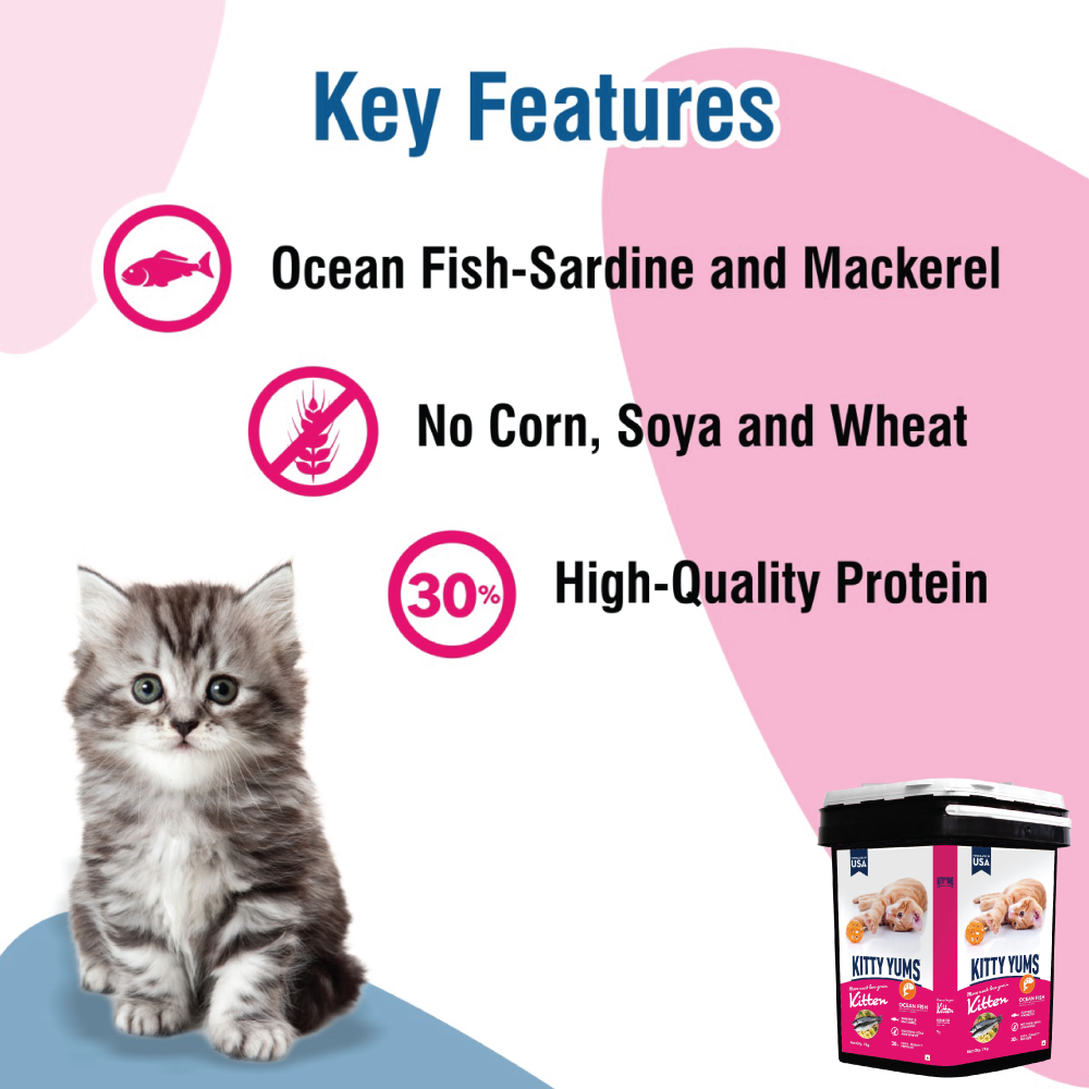 Kitty Yums Ocean Fish Kitten Dry Food, Me O Creamy Chicken Liver Cats Treats Combo Exclusive Combo Exclusive Combo