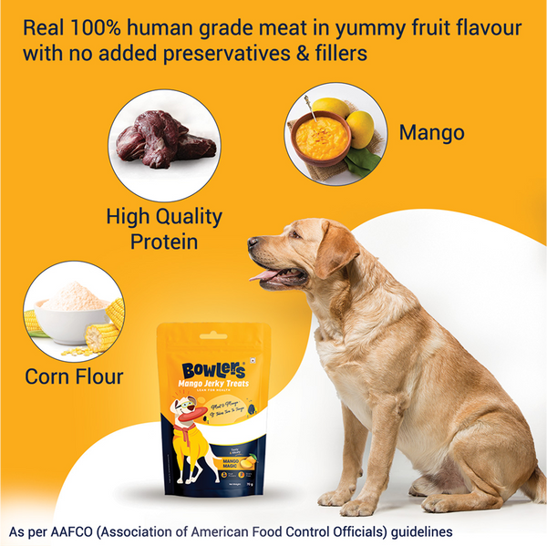 Bowlers Mango Jerky Dog Treats