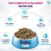 Purrfeto.com Chicken and Rice Kitten Cat Dry Food Cats- Dry food Purrfeto