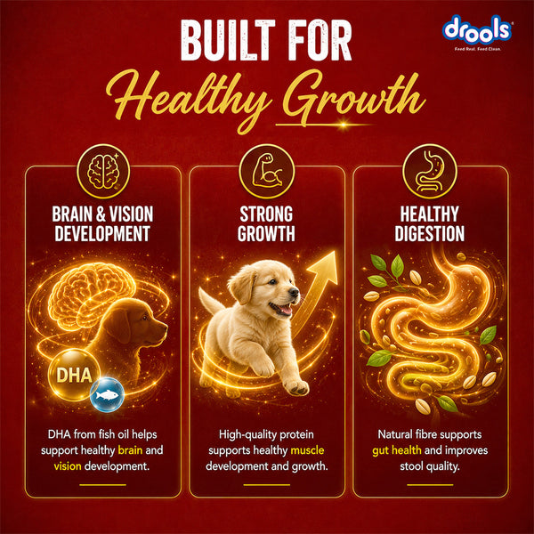 Drools Chicken and Egg Puppy Dog Dry Food