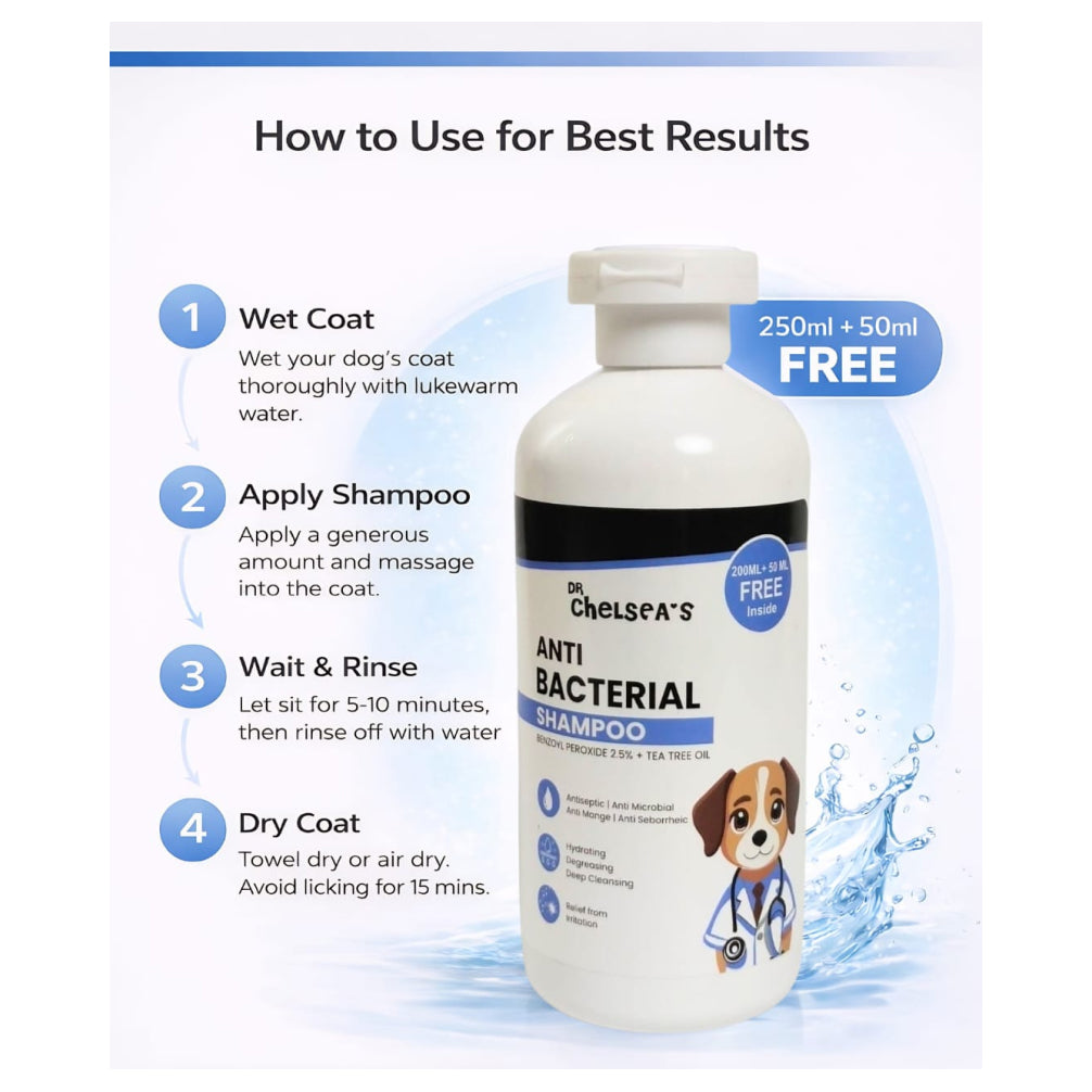 Dr. Chelsea’s Anti Bacterial Shampoo for Dogs & Cats Both-Grooming Supplies Dr. Chelsea's Dropship