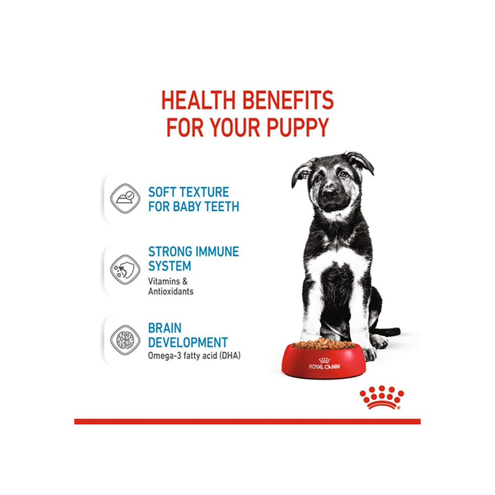 Royal Canin Maxi Puppy Dog Wet Food Dogs-Wet Food Royal Canin