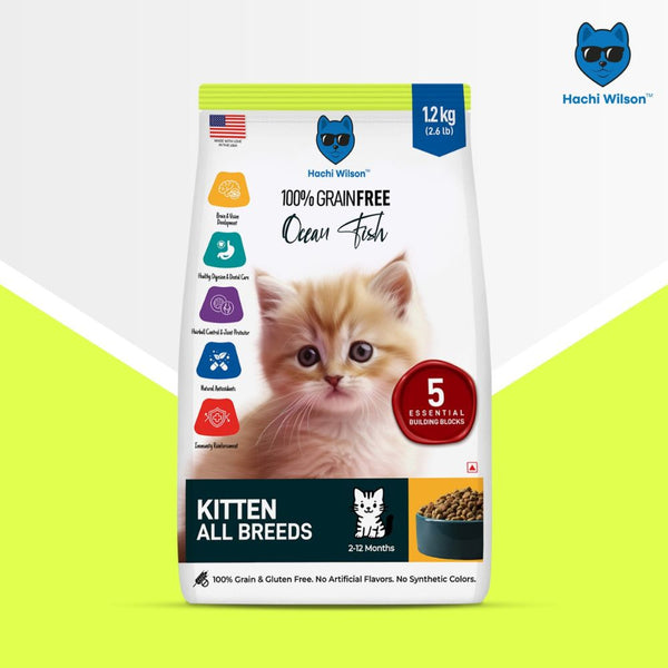 Hachi Wilson Premium Ocean Fish Kitten Dry Food