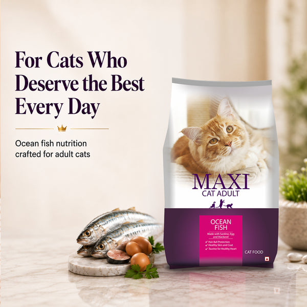 Maxi Adult Ocean Fish Adult Dry Cat Food