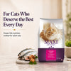 Maxi Adult Ocean Fish Adult Dry Cat Food Cats- Dry food Maxi Adult