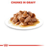 Royal Canin Instinctive 7+ Gravy Cat Wet Food Cats-Wet Food Royal Canin