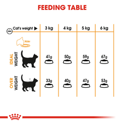 Royal Canin Hair & Skin Care and Persian Adult Cat Dry Food Combo Cats- Dry food Royal Canin