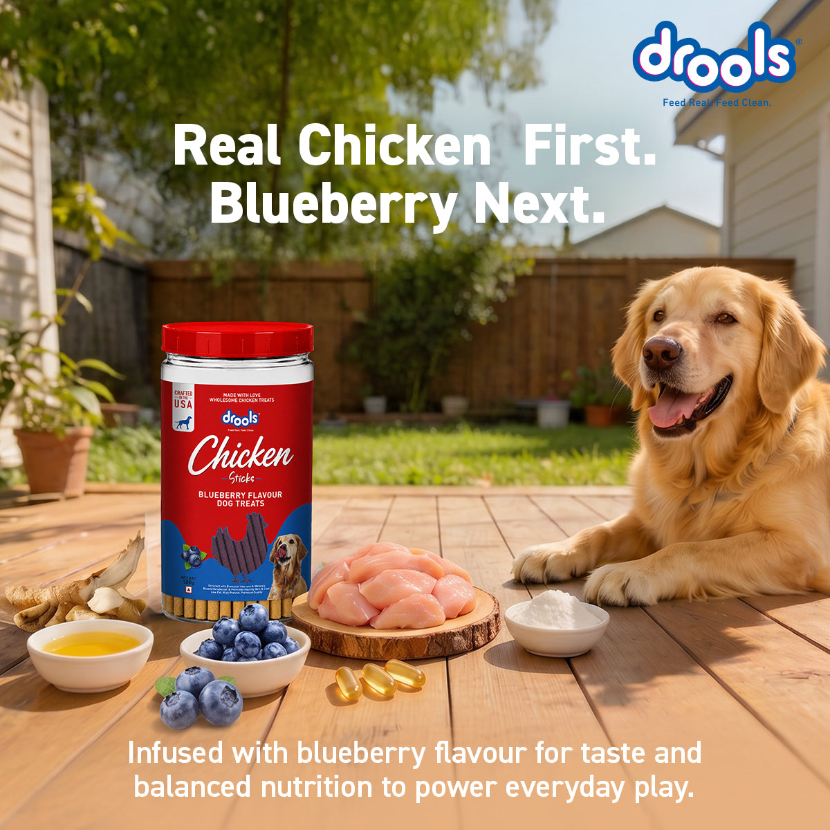 Drools Blueberry Flavour Chicken Sticks Treat for Dogs Dog Treats + Others Drools