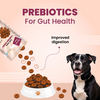 Bark Out Loud Chicken Rings Soft Chews Dog Treats Dog Treats + Others Bark Out Loud