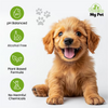 Groom My Pet Tick and Flea Shampoo for Dogs Dogs-Grooming Supplies Groom My Pet Dropship