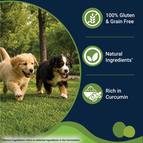 Bowlers Chicken and Liver Recipe in Gravy Puppy Dog Wet Food