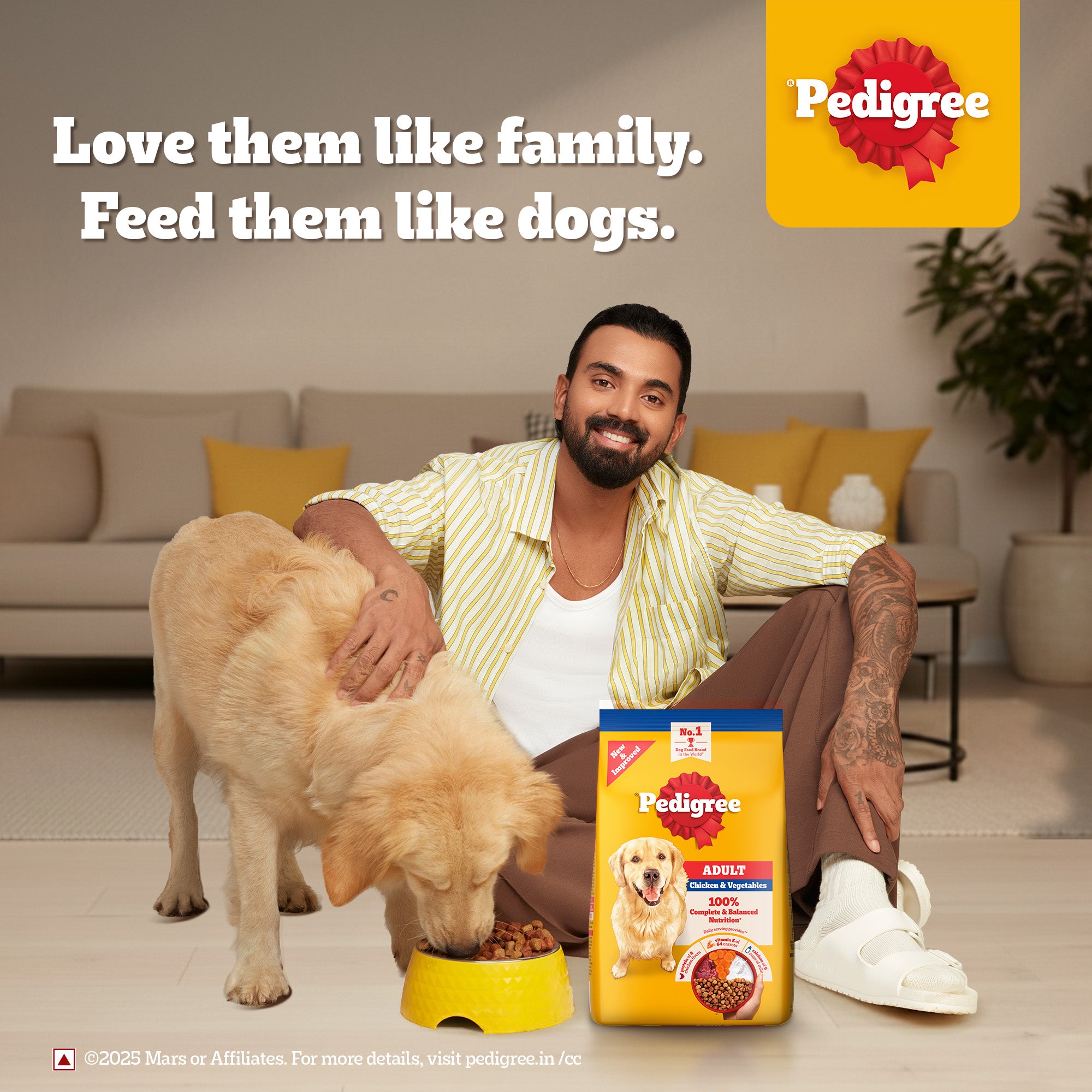 Pedigree Chicken and Vegetables Adult Dog Dry Food Dogs- Dry Food Pedigree