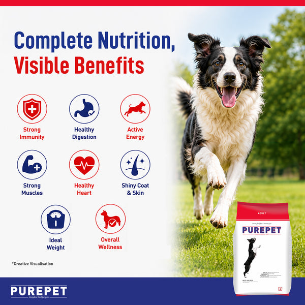 Purepet Meat and Rice Adult Dog Dry Food