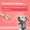 Bark Out Loud by Vivaldis Red Hearts Spanish Dog Treats