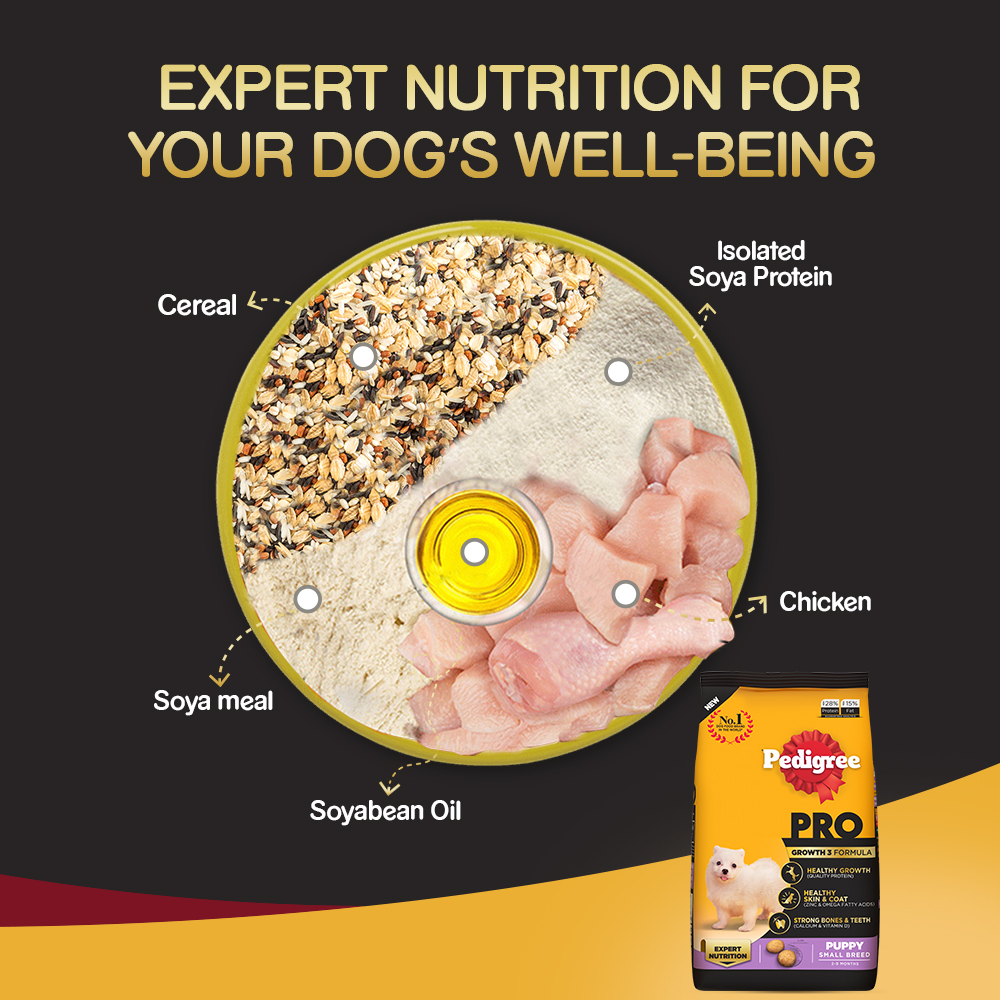 Pedigree PRO Expert Nutrition Small Breed Puppy Dry and Chicken Chunks in Gravy Puppy Wet Food Combo