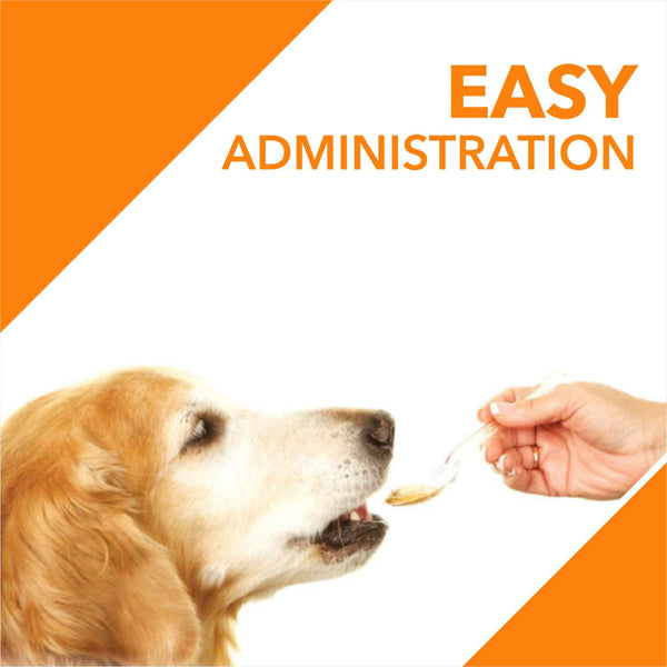 Furlicks Gut Health Supplement and Drools Absolute Salmon Oil Syrup Supplement Combo for Dogs