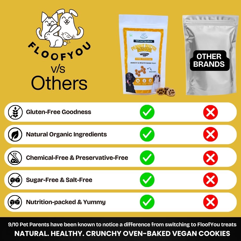 FloofYou Oven Baked Peanut Butter & Banana Dog Treats Dog Treats + Others FloofYou