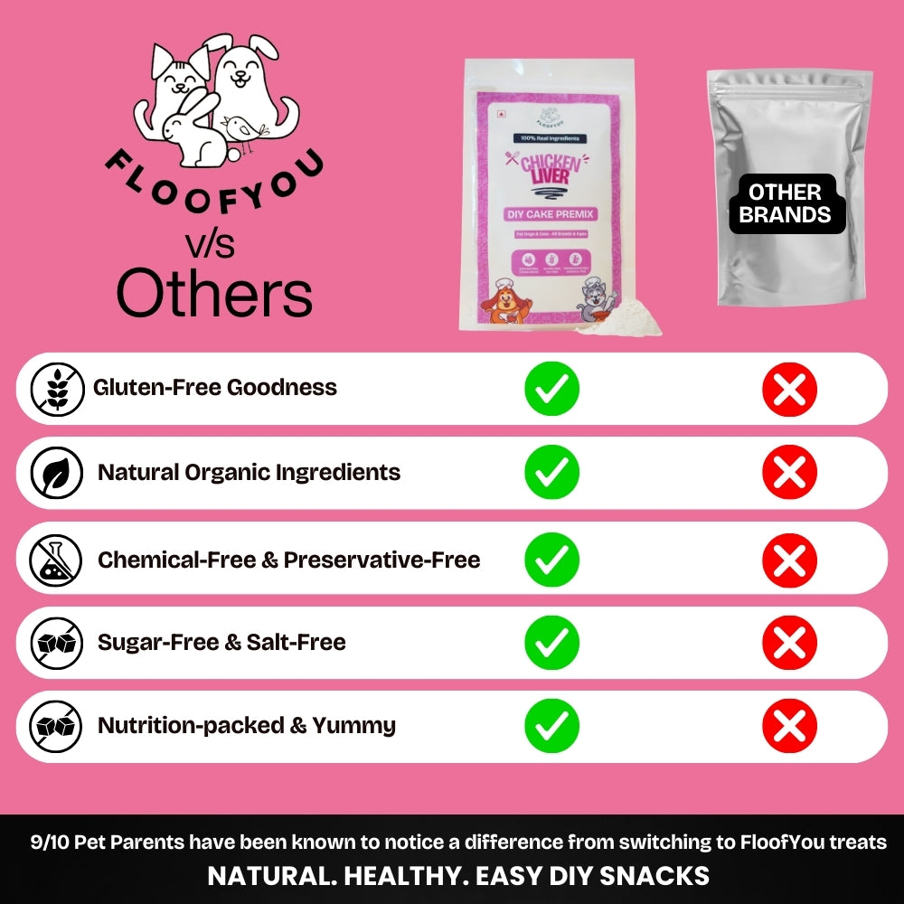 Floofyou Home Made Chicken Liver Birthday Cake Mix for Dogs and Cats Dog Treats + Others FloofYou