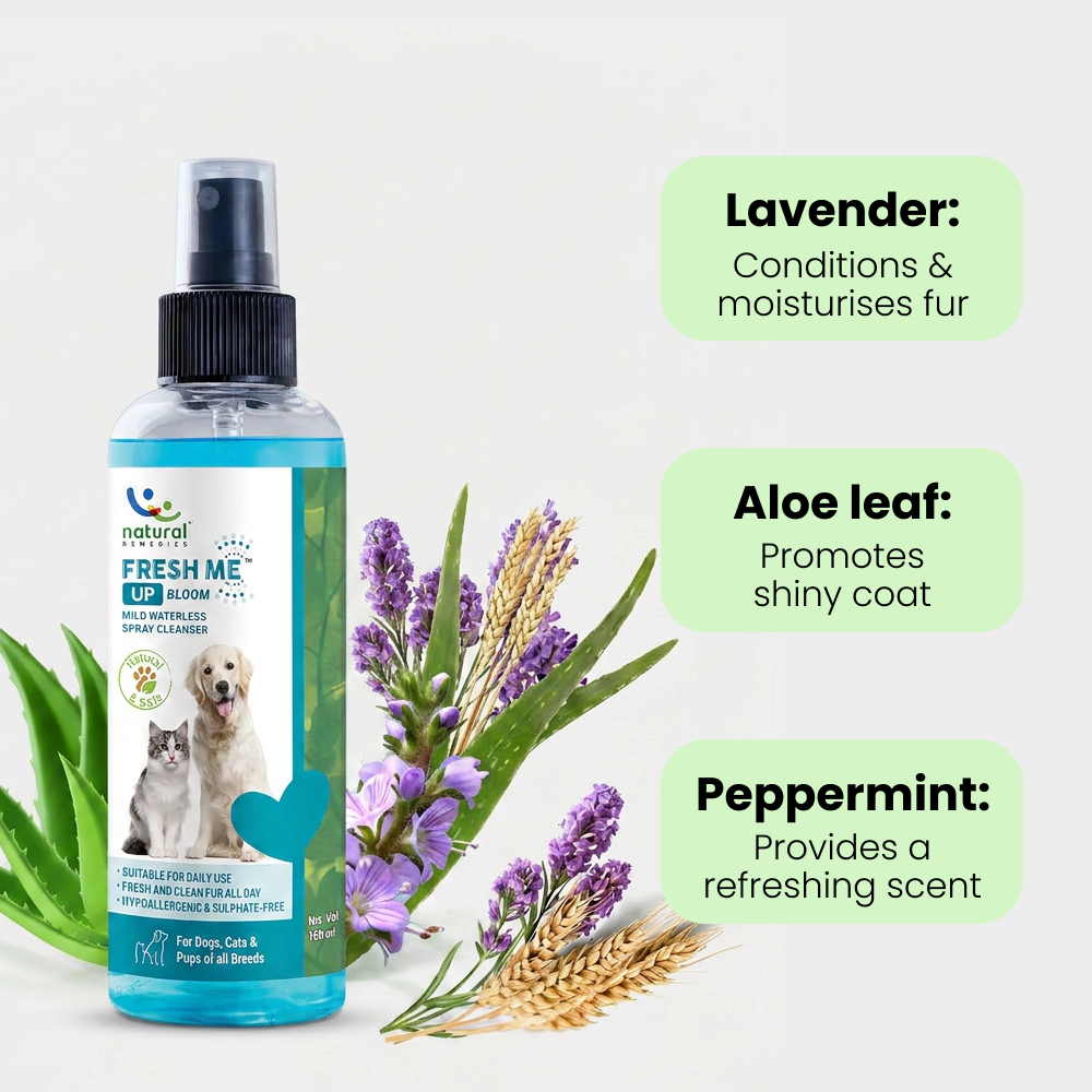 Natural Remedies Fresh Me Up Bloom Dry Shampoo for Dogs and Cats Both-Grooming Supplies Natural Remedies