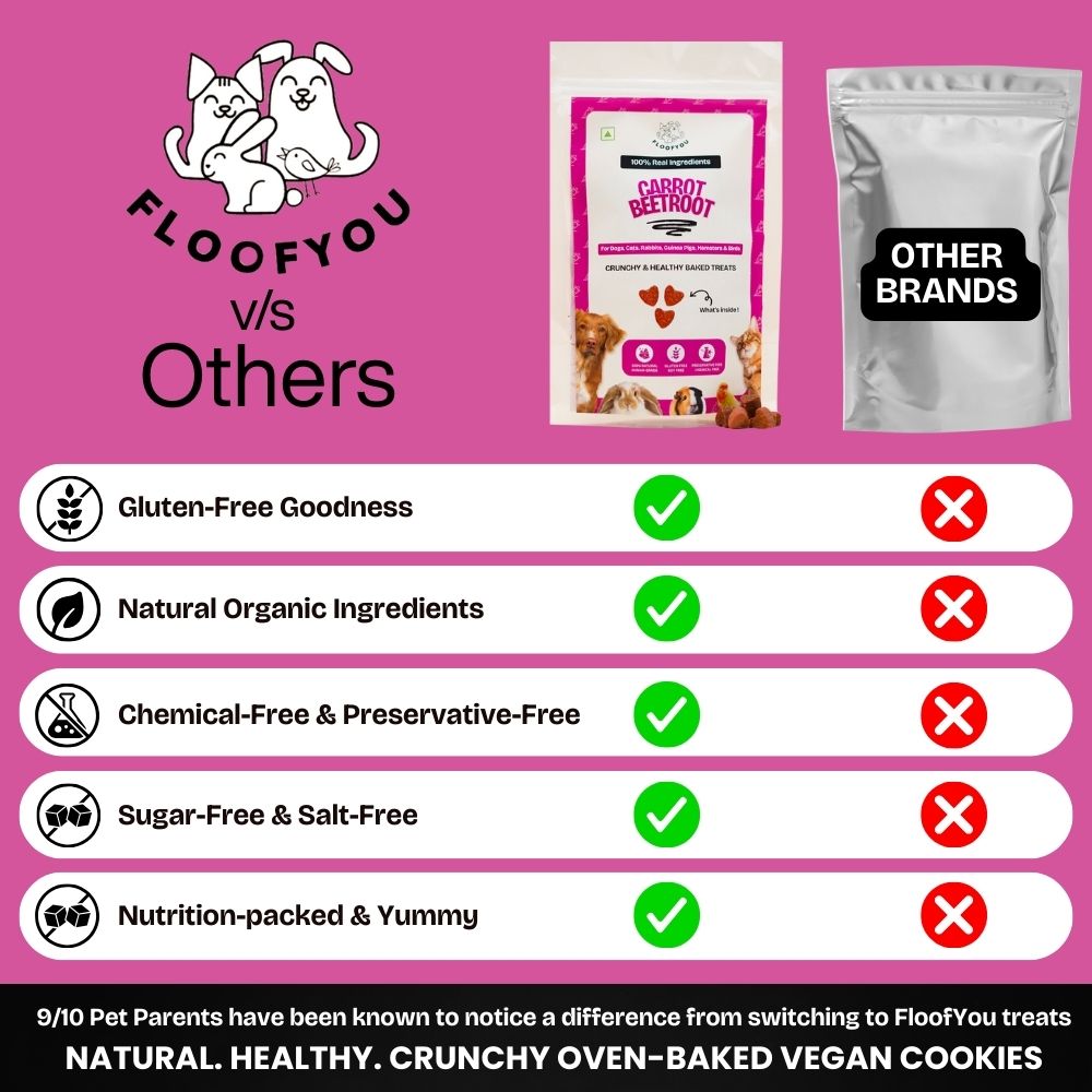 FloofYou Oven Baked Carrot Beetroot Rabbit Treats Rabbits FloofYou