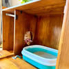 FurryLiving Lulu Litter Cabinet for Cats (Honey) Cats-Furniture FurryLiving Dropship