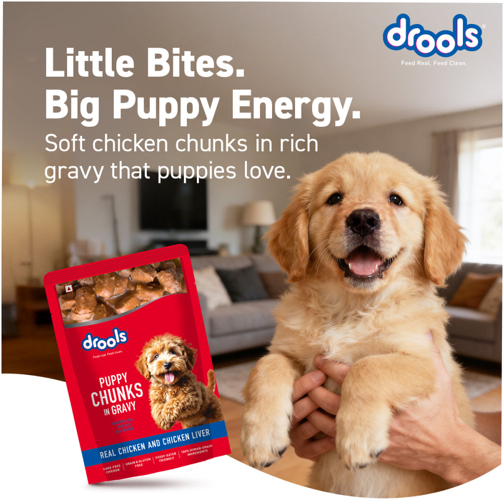 Drools Real Chicken & Chicken Liver Chunks in Gravy Puppy Dog Wet Food