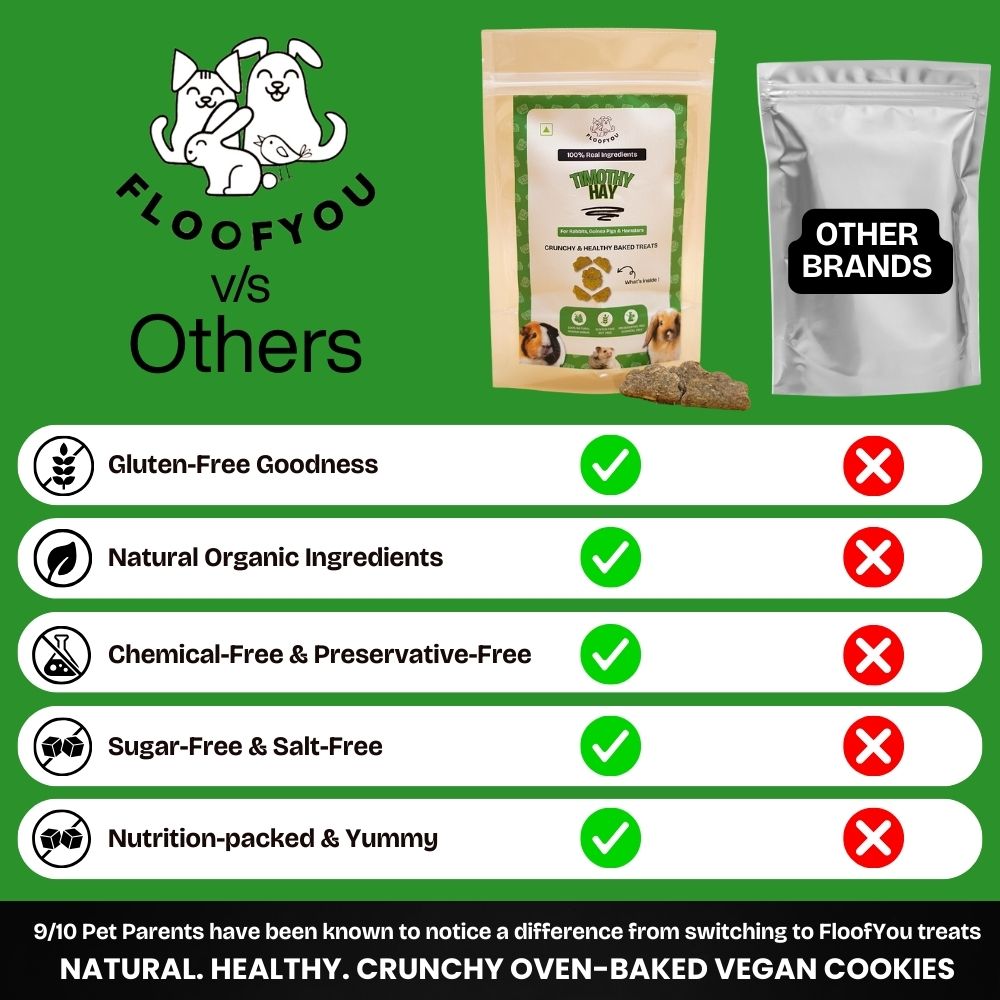 FloofYou Oven Baked Timothy Hay Small Animals Treat Rabbits FloofYou