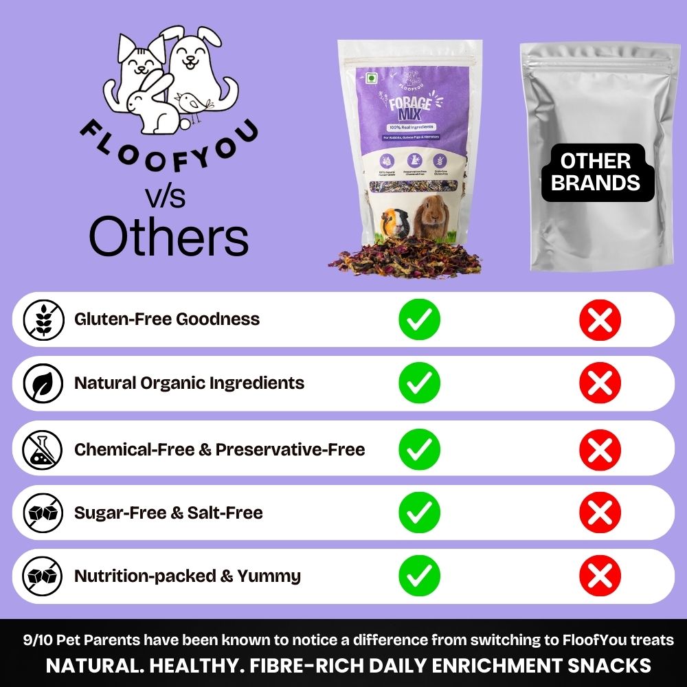 FloofYou Fibre Rich Forage Mix Rabbit Treats Rabbits FloofYou