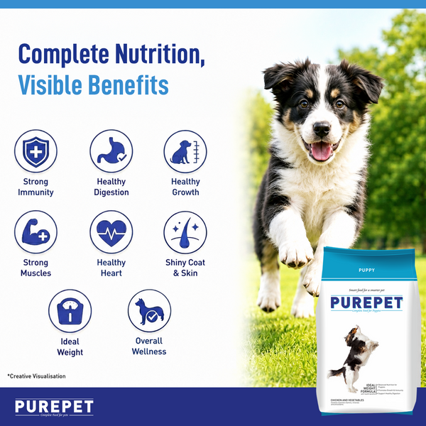 Purepet Chicken & Vegetable Puppy Dog Dry Food
