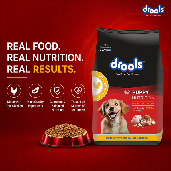 Drools Chicken and Egg Puppy Dog Dry Food