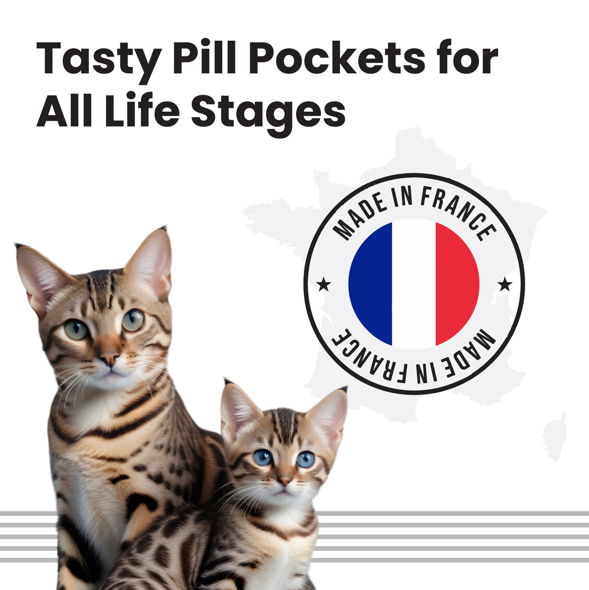 Bark Out Loud Anti Anxiety Easy Pill for Cats (Limited Shelf Life) Cats-Health & Wellness Bark Out Loud