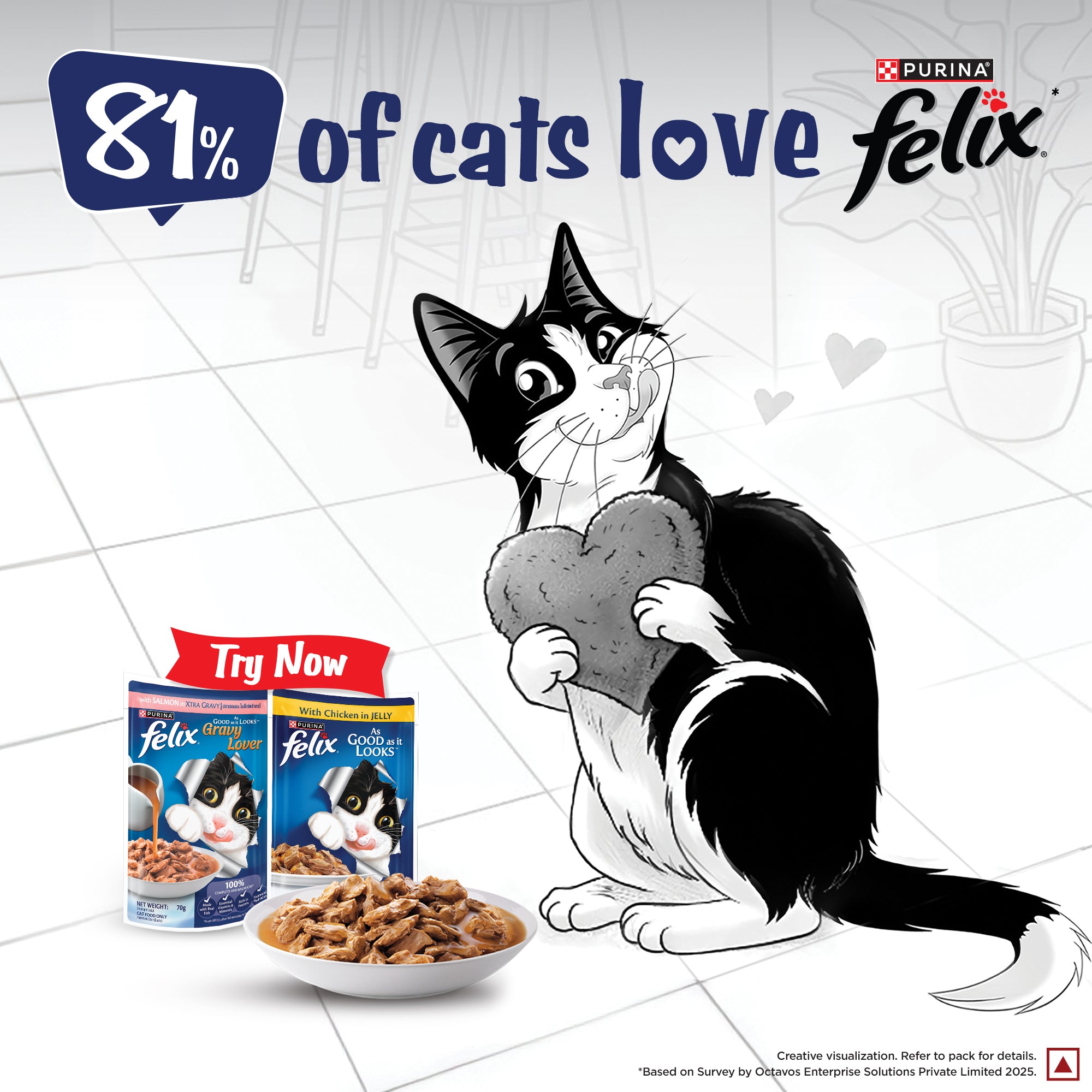 Purina Felix Gravy Lover Salmon Chunks Adult Complete and Balanced Cat Wet Food Cats-Wet Food Felix