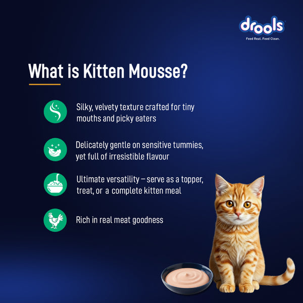 Drools Tuna Mousse Kitten Cat Wet Food