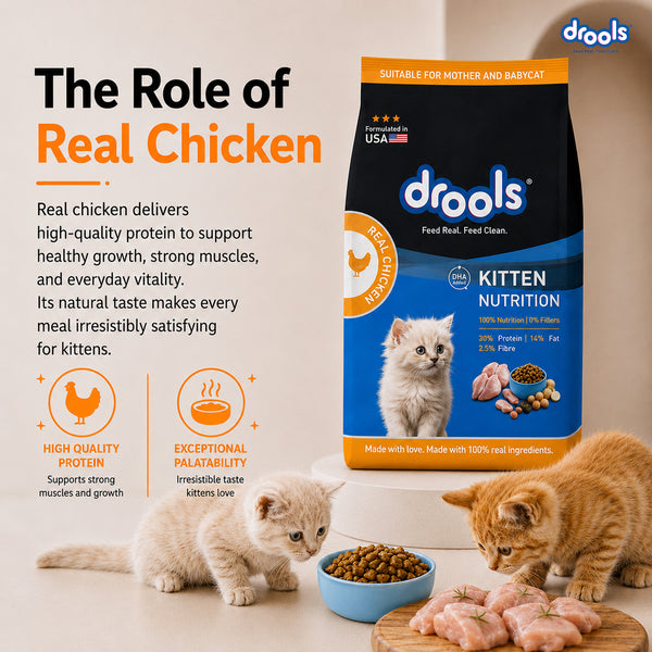 Drools Real Chicken Kitten Dry Food