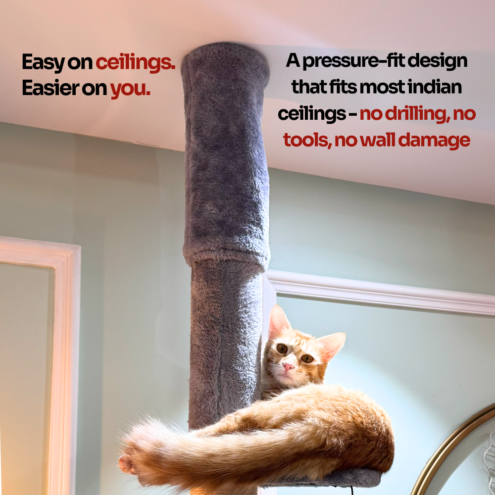 FurryLiving Sora Adjustable Floor to Ceiling with Scratching Posts, Condo and Hanging Toy Cat Tree Cats-Toys FurryLiving Dropship