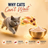 Kitty Yums Lickable Real Chicken Creamy Cat Treat Cats-Treats & Others Kitty Yums