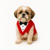 PawsIndia Red & White Tuxedo Suit for Dogs Dogs-Clothing & Accessories Pawsindia Dropship M