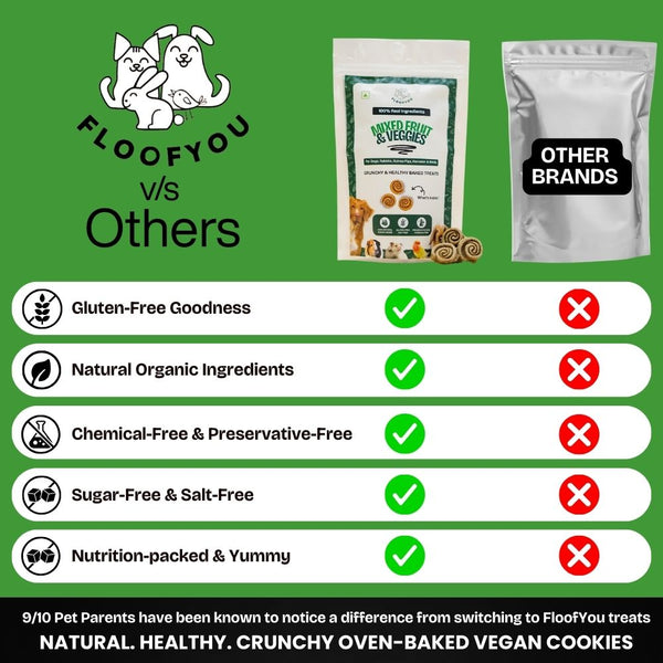 FloofYou Oven Baked Mixed Fruit and Veggies Dog Treats