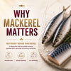Signature Grain Zero Ocean Fish, Sardine and Mackerel Adult Cat Dry Food Cats- Dry food Signature