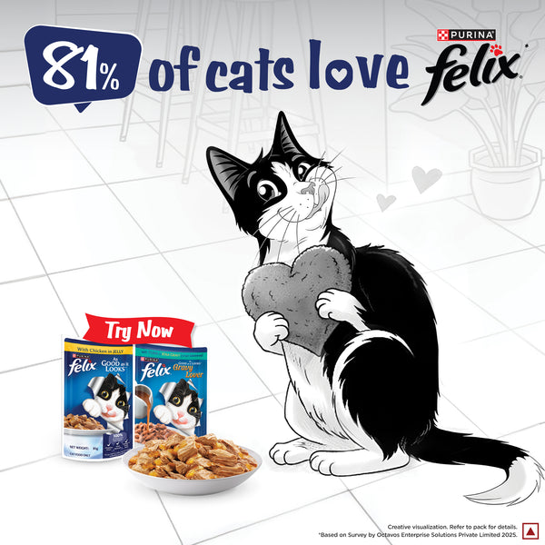 Purina Felix with Chicken in Jelly Complete and Balanced Adult Cat Wet Food