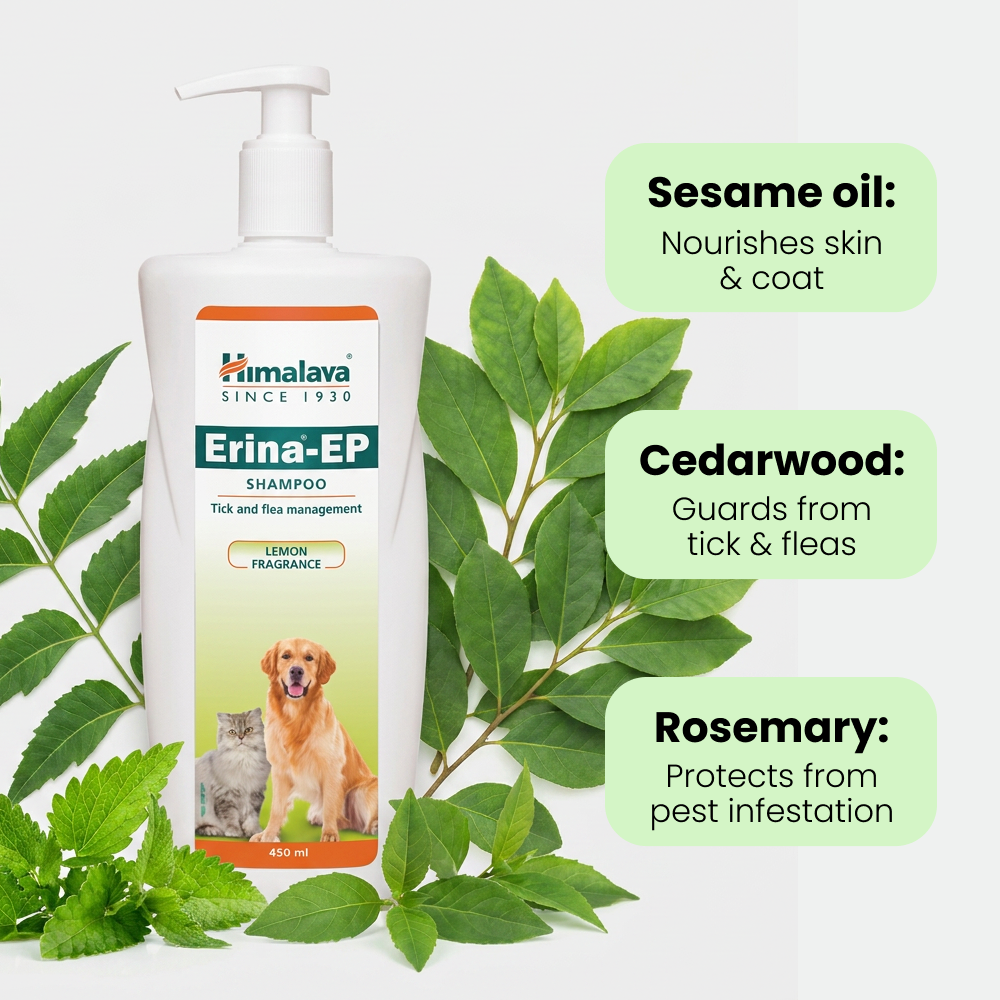 Himalaya Erina EP Tick and Flea Shampoo for Dogs and Cats Dogs-Grooming Supplies Himalaya