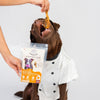 Floofyou Air Dried Chicken Leg Tandoori Crunchy Dental Chew Dog Treats Dog Treats + Others FloofYou